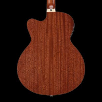 Alvarez ABT60CE-8SHB Artist 8-String Acoustic Electric Baritone Shadowburst image 2