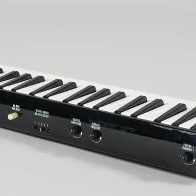 Hohner Electra-Melodica wind synthesizer + hardcase + cables + mouth pieces (serviced) image 10