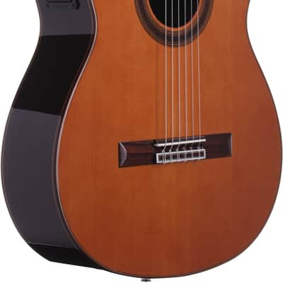 Cordoba C7-CE CD/IN Classical Acoustic-Electric Guitar, 50mm Nut Width image 1