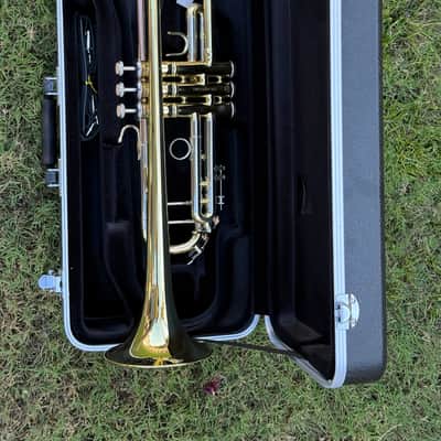 Etude ETR-100 Student Series Bb Trumpet 2010s - Clear-Lacquered Brass image 1