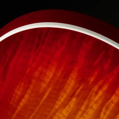 Don Grosh NOS MT-59 - Deep Vintage Cherry Burst image 17