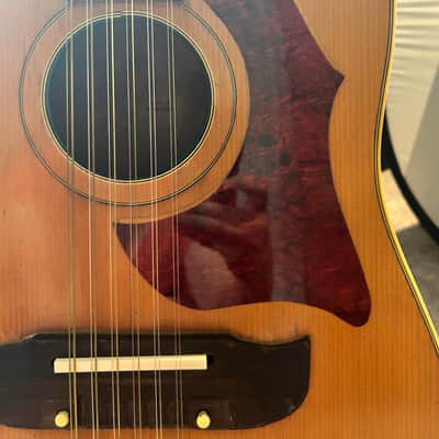 Blue Hawk 12-String Acoustic Guitar Made in W. Germany with Hard Case image 5