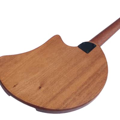 Special Steel String Electric Oud RaksOud Mat image 14