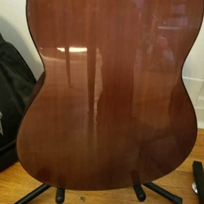 Alvarez Artist 5003 Nat Gloss image 5