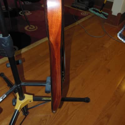 Modulus Neck Thru Pre TBX Short Scale Built like an Alembic Graphite neck thru 1980's Cocobolo image 3