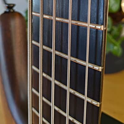 Woodo B5 Walnut 2010-2015 - Natural Satin image 5