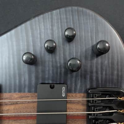 Schecter Charles Berthoud CB-5 Signature - See-Thru Black Satin - 5-String - EMG Active - Excellent image 11