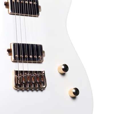Chapman Chris Robertson Signature SAR63 Semi-Hollow #H23120137 image 9