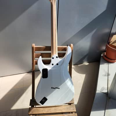 Caparison Dellinger-JSM Joel Stroetzel`21 image 13