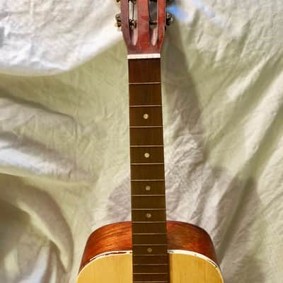 Stella Acoustic 1955 with provenance from Buddy Holly warm-up act: Terry Teene/ Rockabilly Hall Fame image 3