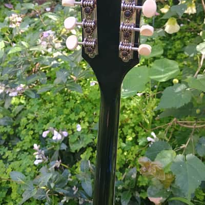 Incredibly Rare Harmony Roy Smeck Mando-Banjo/8-string Tenor Banjo 1960s image 6
