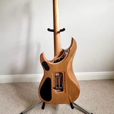 Washburn N4 USA Authentic - Natural Relic image 8