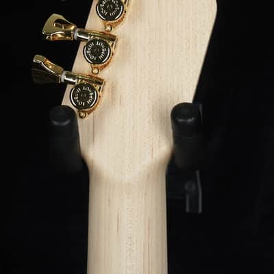 James Tyler Studio Elite HDX - Sanctuary Shmear Custom with Floyd Rose Tremolo image 10
