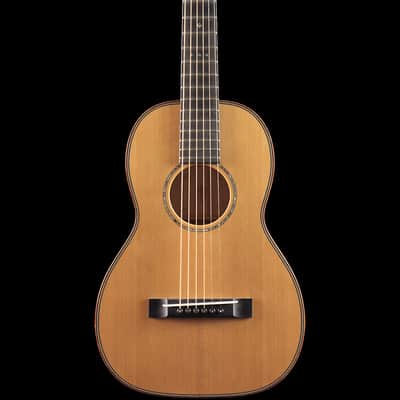 Martin Custom Shop Terz Style 5 Birdseye Maple (003) image 2