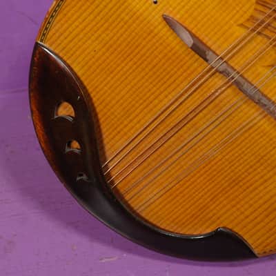 1970s Suzuki Spruce/Maple Bowlback Mandolin (VIDEO! Fresh Work, Ready) image 6