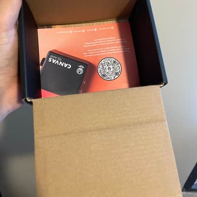Walrus Audio Canvas Passive Re-Amp Unit 2023 - Present - Black w/ Rainbow Graphic image 8