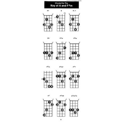 The Mandolin Chord Book, Compact Reference Library image 3