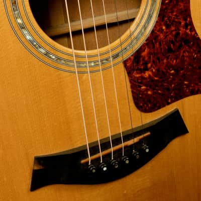 1997 Taylor 510 with Original Hardshell Case (USED) image 11