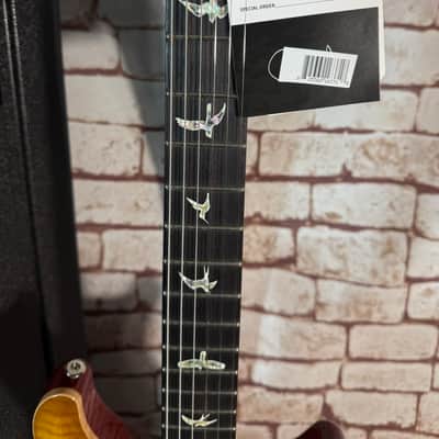 PRS DGT David Grissom Tremolo Signature 1 piece Top Birds - McCarty Sunburst image 8