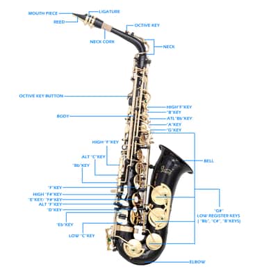 Glarry Alto Saxophone E-Flat Alto SAX Eb with 11reeds, case, carekit, for Students and Beginners 2020s - Black image 5