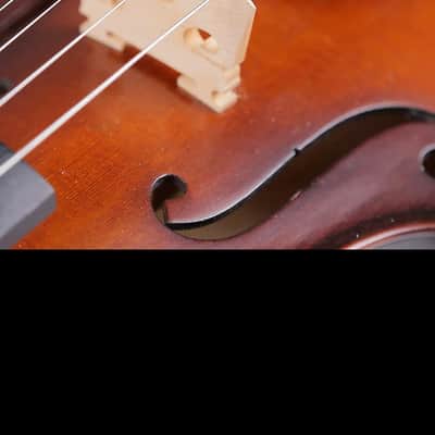 Strumenti a Corde 2500 Viola 14" - Solid Wood Viola with Bow and Case image 4
