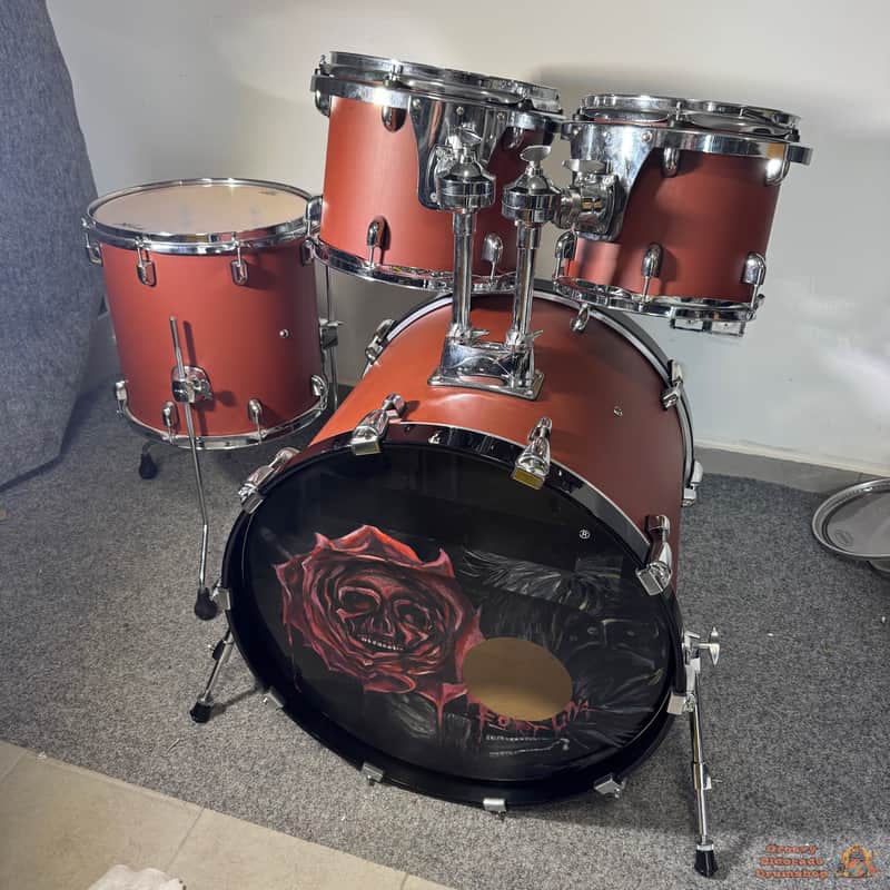 Basix Custom 22,10,12,14 Drum Kit image 1