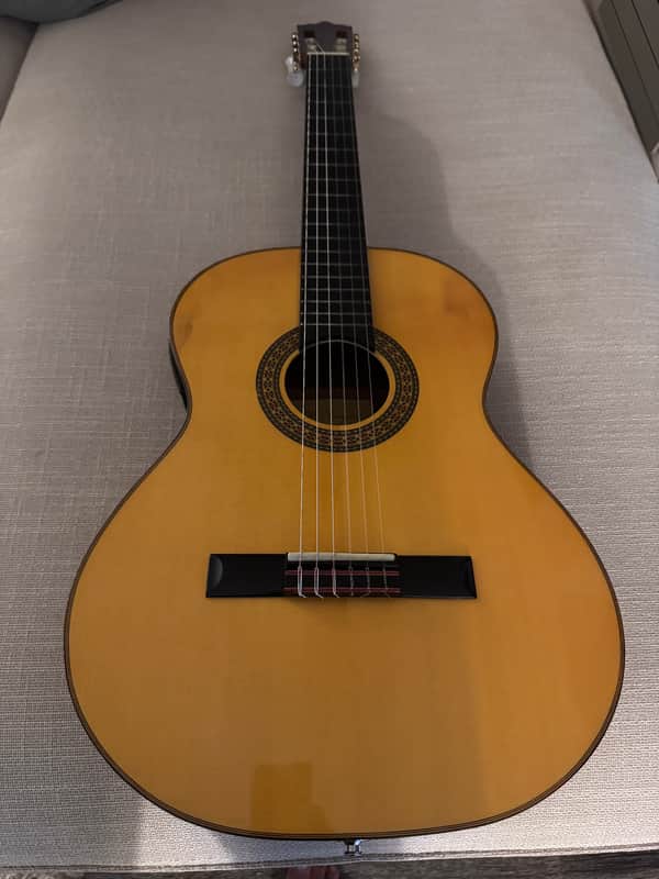 Di Giorgio Master E Classical Acoustic Nylon Guitar 2011 image 1