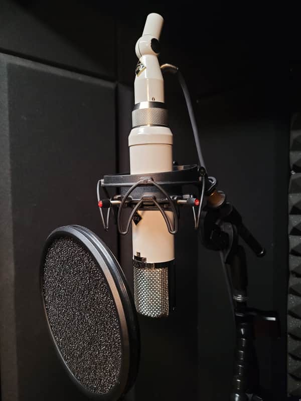 FLEA Microphones ELA M 251 w/ Rycote Invision Shockmount and Pop Audio Pop Filter image 1