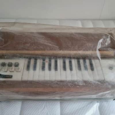 Super Rare Giaccaglia Chord/Reed Organ (Italy, 1960s) – vintage electric organ image 2