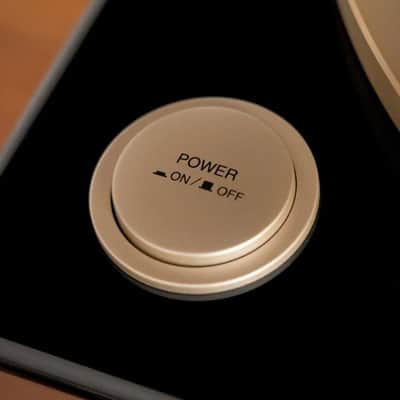 Denon DP-A100 100th Anniversary image 4