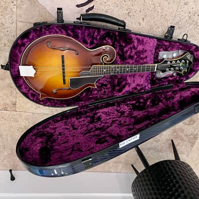 Aleyas F5D 2013-2020 - Sunburst Varnish Finish image 4