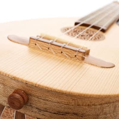 Folk Instruments Soprano Lute Ukulele with Bag image 4