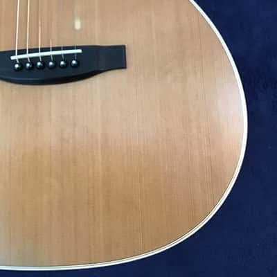 Lakewood Natural Series M-14 CP image 2