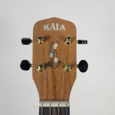 2022 Kala Curly Mango Concert Ukulele KA-MNGG-C image 3