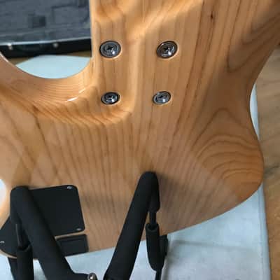 Mayones Jabba Custom 4 2017 Eye Poplar image 10