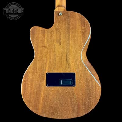 Used 2002 Gibson Chet Atkins SST w/case TSU24947 image 16