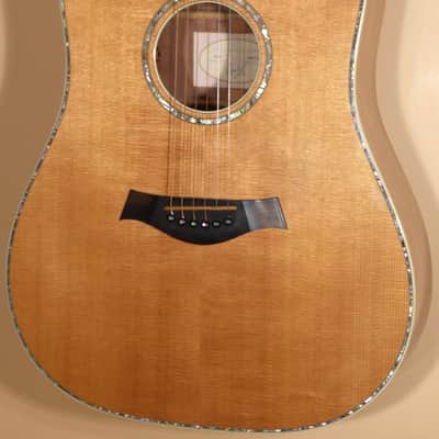 1998 Taylor W-10 image 1