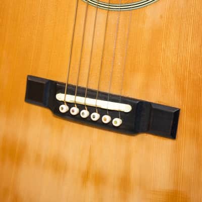 Washburn Tanglewood - Natural Rose Wood image 5