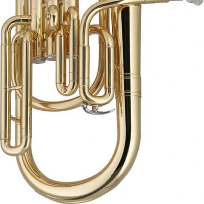 Stagg WS-AH235 Brass Body 3 Valves Eb Alto Horn w/ABS Case & Mouthpiece Silver Plated-Clear Lacquer image 2