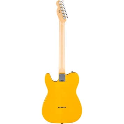 Fender Standard Telecaster  Butterscotch Blonde image 3