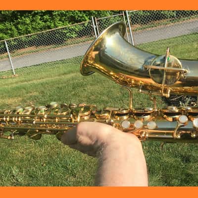 MARTIN 1930 GOLD PLATED PORTRAIT " THE GOLDEN-WINGED WARBLER " MASTER TYPEWRITER HANDCRAFT ALTO SAXOPHONE STUNNING LOVELY ENGRAVING & PLAYING WELL, ORG CASE , TECH SERVICED FREE SHIP image 1