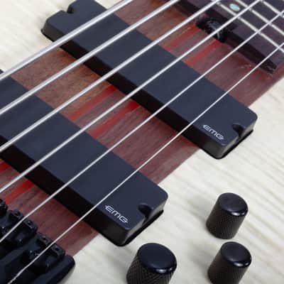 Schecter Charles Berthoud CB-6 guitar in Natural Satin image 8