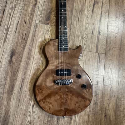 Les Paul Junior Neckthrough Single Cut 2026 Gary Luthery image 14