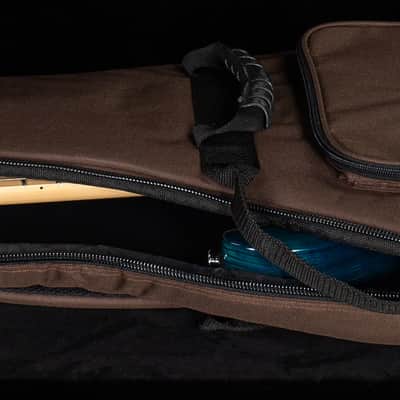 PRS SE Swamp Ash Special Iris Blue (694) image 8