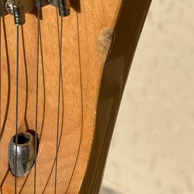 Fender Thinline Telecaster MIJ 1991 *FUJIGEN* image 6