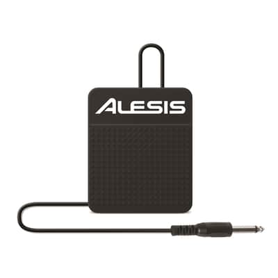 Alesis ASP-1 SUSTAIN PEDAL image 5