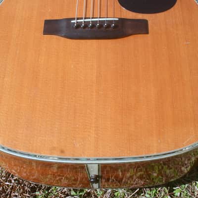 1978 Yairi  YW-600 Coral Rosewood(New Jacaranda ) Body Natural Bargain image 17