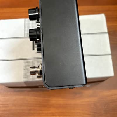 Strymon Iridium 2019 - Present - Black image 2