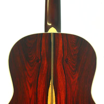 Santa Cruz 00-Skye Acoustic Guitar - designed in collaboration with the jazz guitarist Eric Skye - check video! image 7