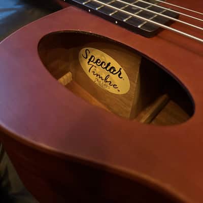 Spector Timbre 2010s - Walnut image 2
